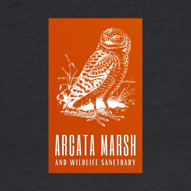 Arcata Marsh and Wildlife Sanctuary Humboldt Nature California Owl Bird by VLE Design